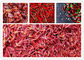 Peperoni essiccati essiccazione agricola della pompa di calore dell'asciugatrice del peperoncino rosso dell'aria calda