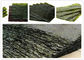 Alto essiccatore della pompa di calore delle alghe dell'ulva dell'agar dell'asciugatrice di Nori di produttività