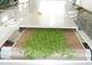 L'attrezzatura di secchezza Moringa di sterilizzazione di microonda dello SpA lascia le foglie più asciutte del forno