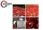 Sistema più asciutto di Cherry Tomato Hot Air Drying dell'aria calda della pompa di calore industriale della frutta degli ss