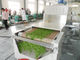 20 chilowatt dell'apparecchiatura a microonde che asciuga riparazione di sterilizzazione per le erbe ed i fiori del tè